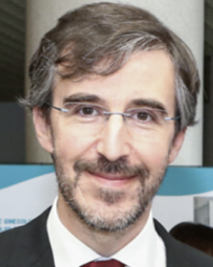 Dr. Nuno N. Martins